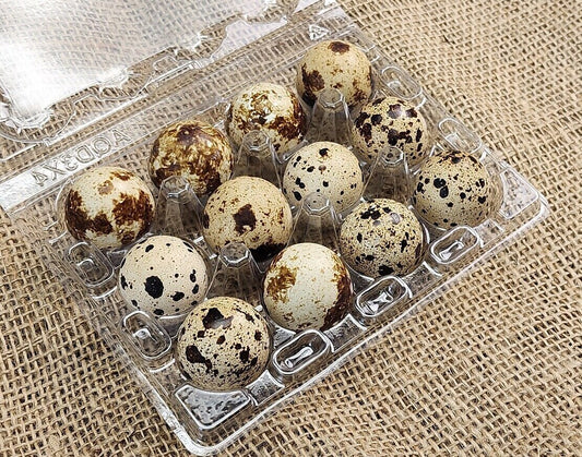 Dozen Coturnix Quail Eggs